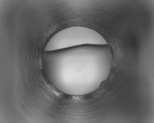 X0000077310573200610200845
