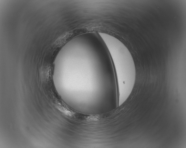 X0000077310574200610200845