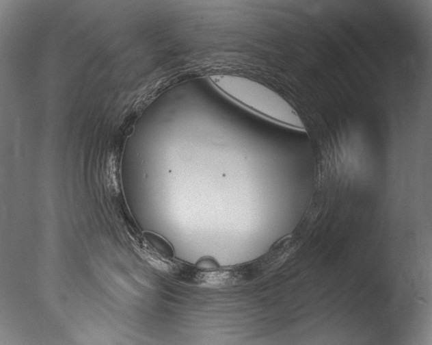 X0000077310575200610200845