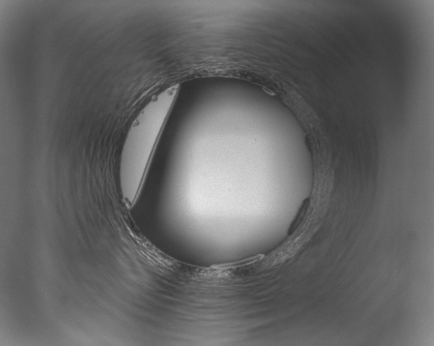 X0000077310576200610200845