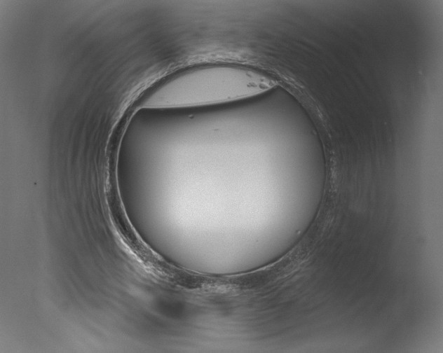 X0000077310582200610200844