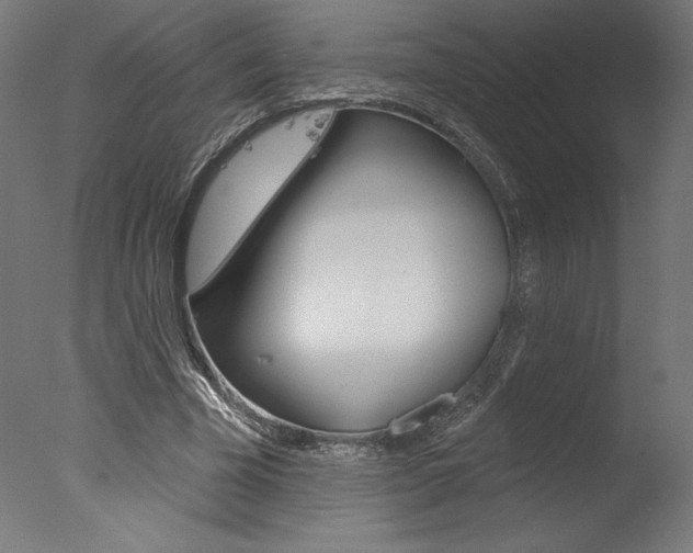 X0000077310585200610200844