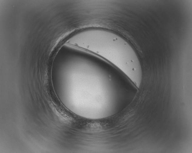 X0000077310588200610200844