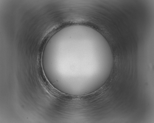 X0000077310591200610200844