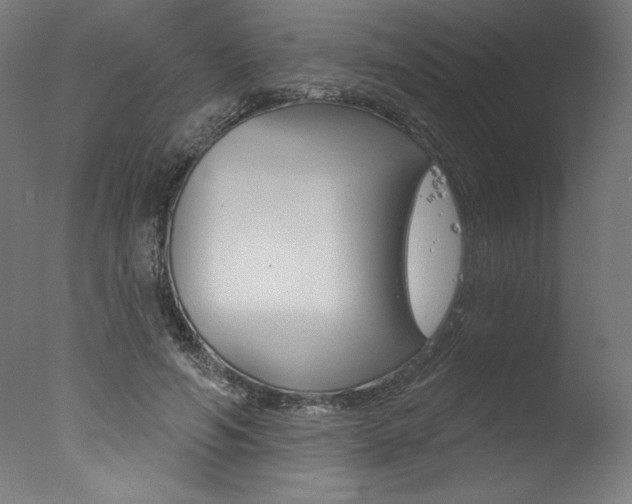 X0000077310594200610200843