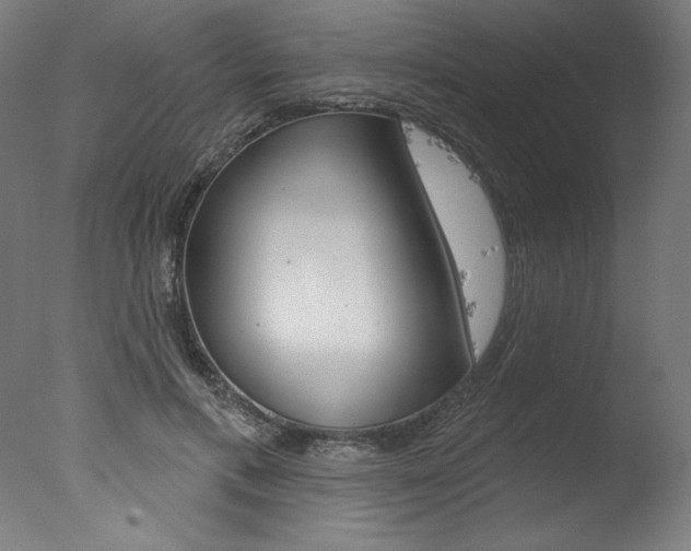X0000077310597200610200843
