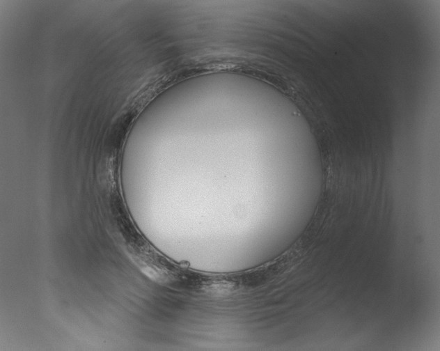 X0000077310598200610200843