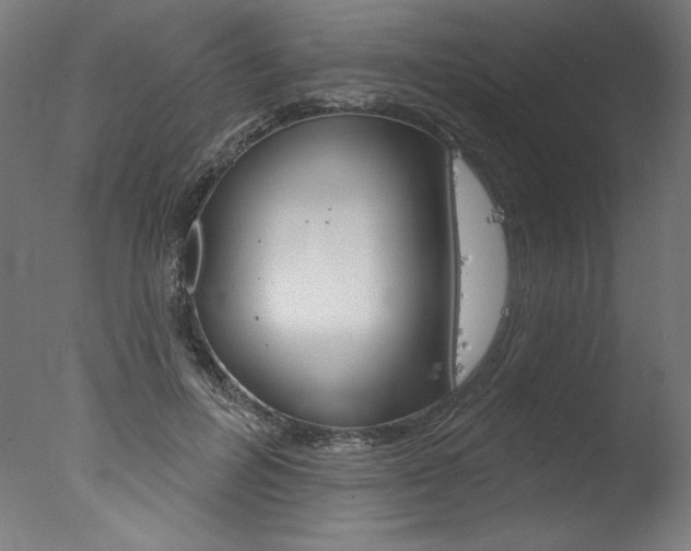 X0000077310600200610200843