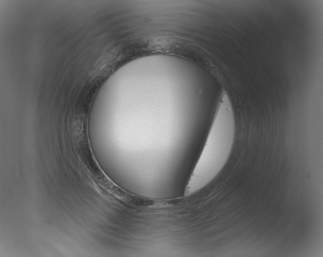 X0000077310603200610200843