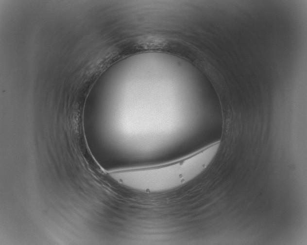 X0000077310604200610200843