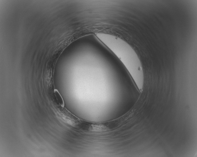 X0000077310605200610200843