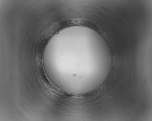 X0000077310606200610200843