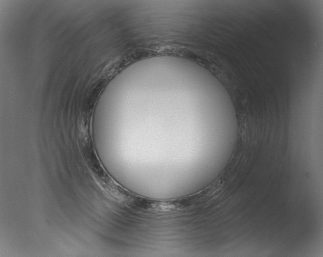 X0000077310607200610200843