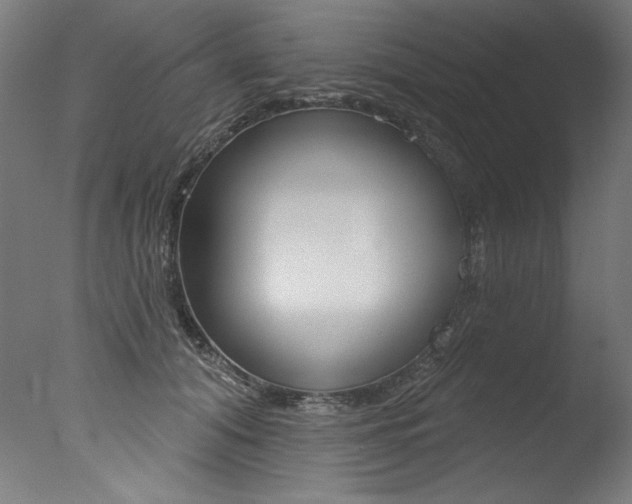 X0000077310608200610200843