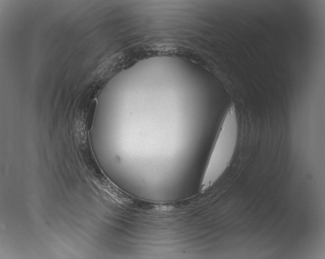 X0000077310609200610200843