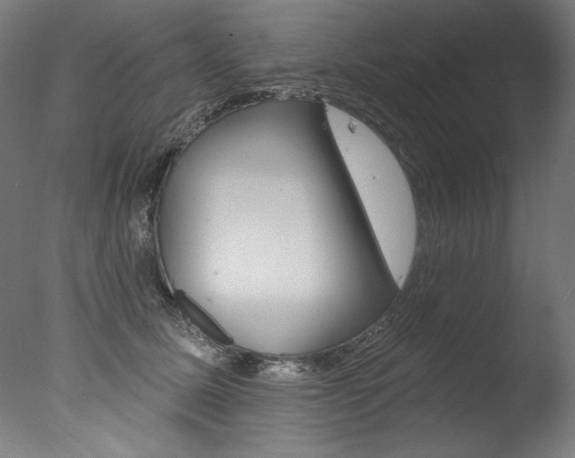 X0000077310611200610200843