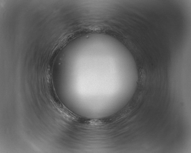 X0000077310612200610200843