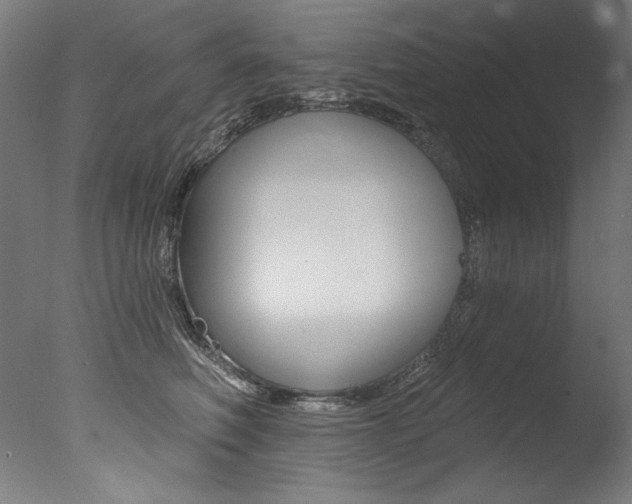 X0000077310614200610200843