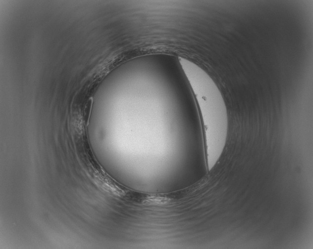 X0000077310617200610200843