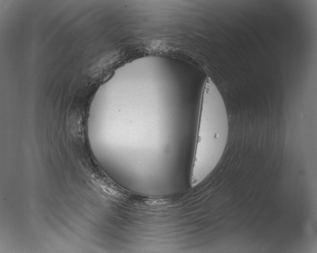 X0000077310619200610200843