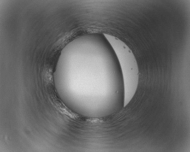 X0000077310621200610200843
