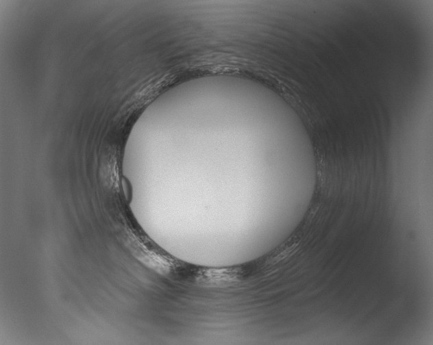 X0000077310622200610200843