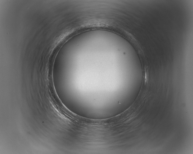 X0000077310627200610200842
