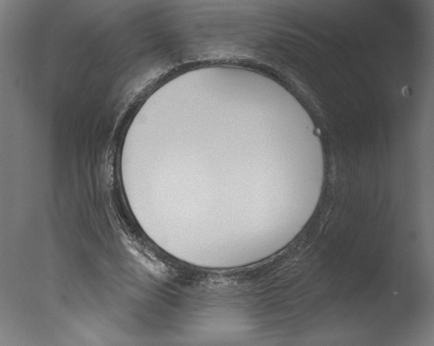 X0000077310632200610200842