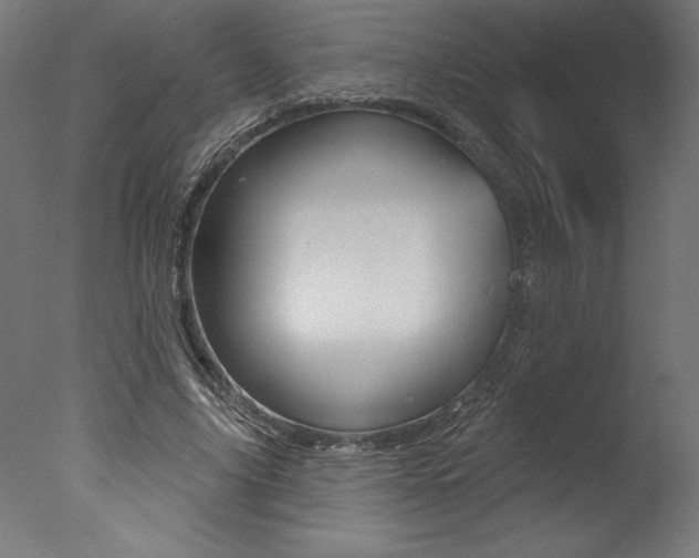 X0000077310635200610200842
