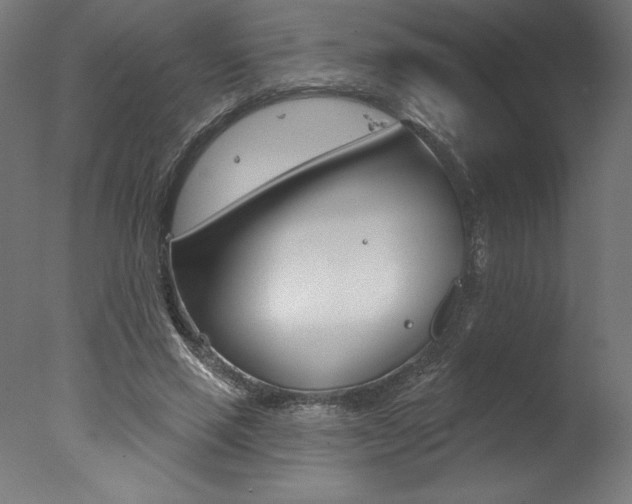 X0000077310637200610200842