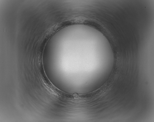 X0000077310641200610200842
