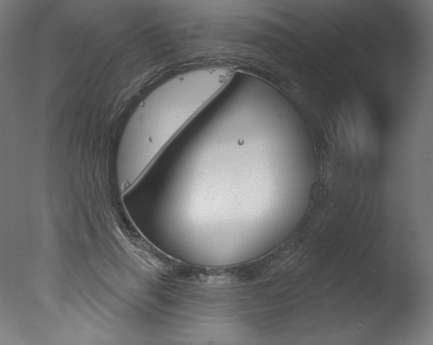X0000077310645200610200842
