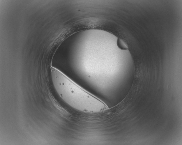 X0000077310646200610200843