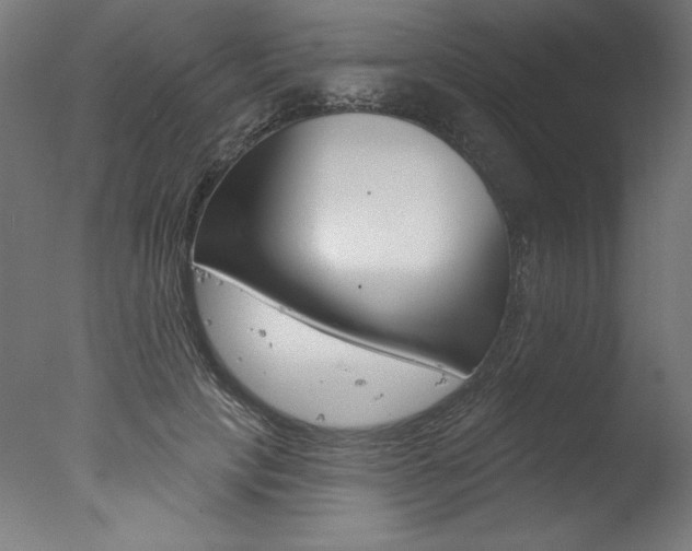 X0000077310649200610200843