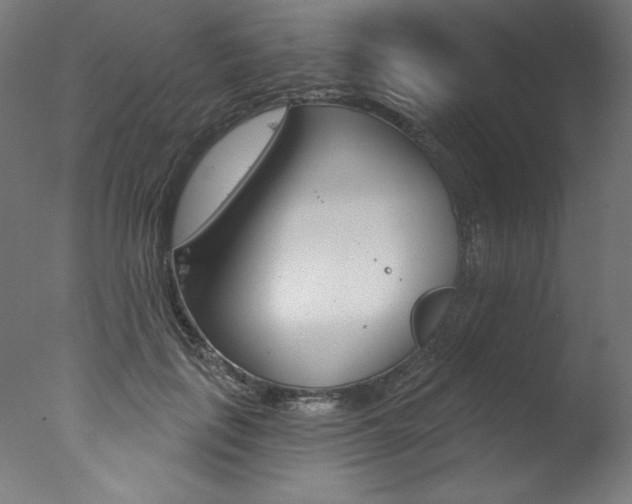 X0000077310651200610200843