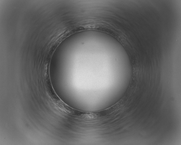 X0000077310652200610200843