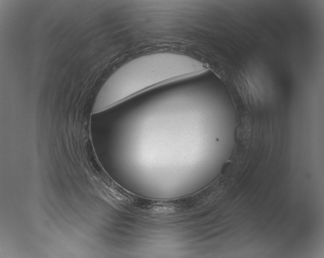 X0000077310653200610200843