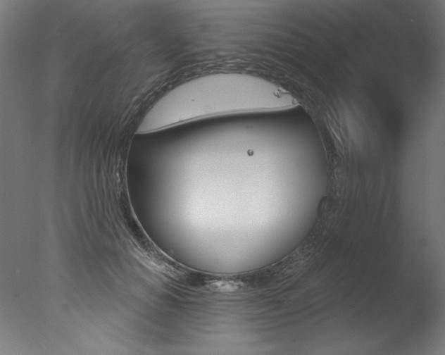 X0000077310654200610200843