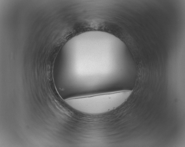 X0000077310656200610200843