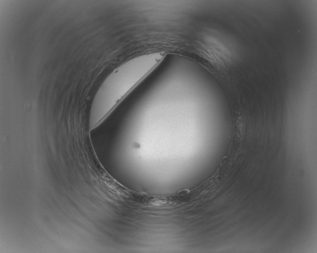X0000077310657200610200843