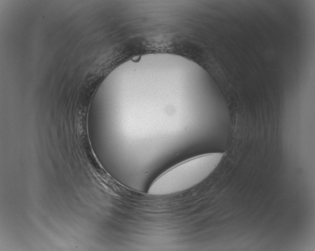 X0000077310658200610200843