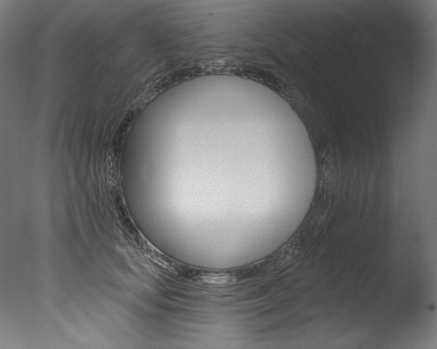 X0000077310659200610200843