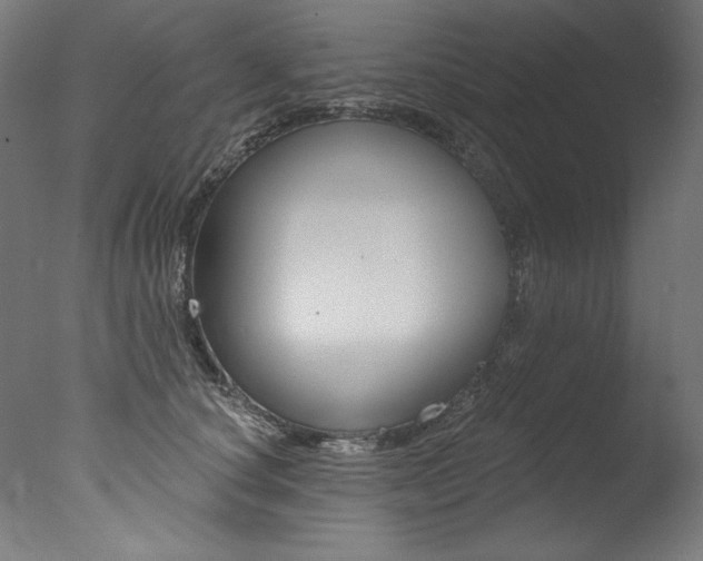 X0000077310660200610200843