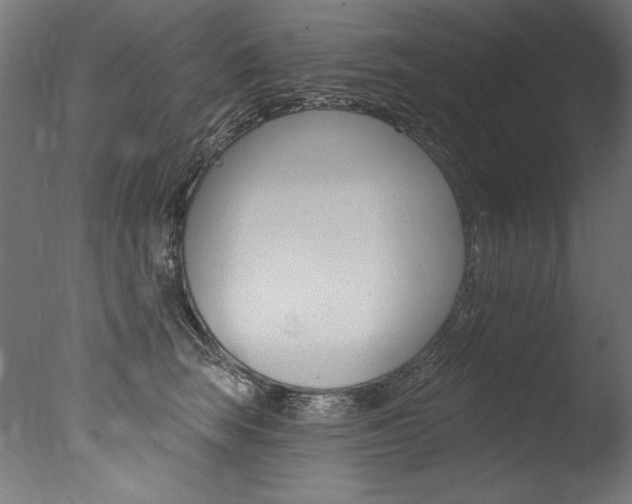 X0000077310663200610200843