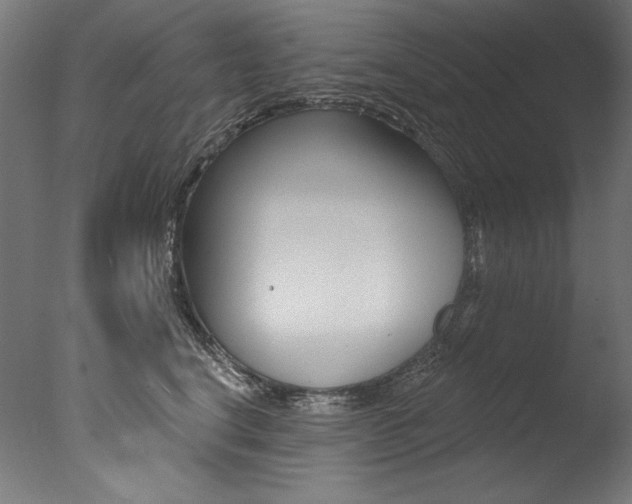 X0000077310664200610200843