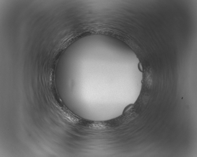X0000077310668200610200843