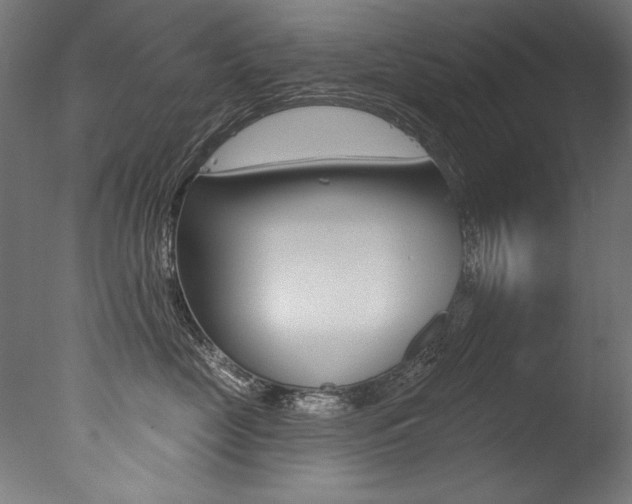 X0000077310669200610200843