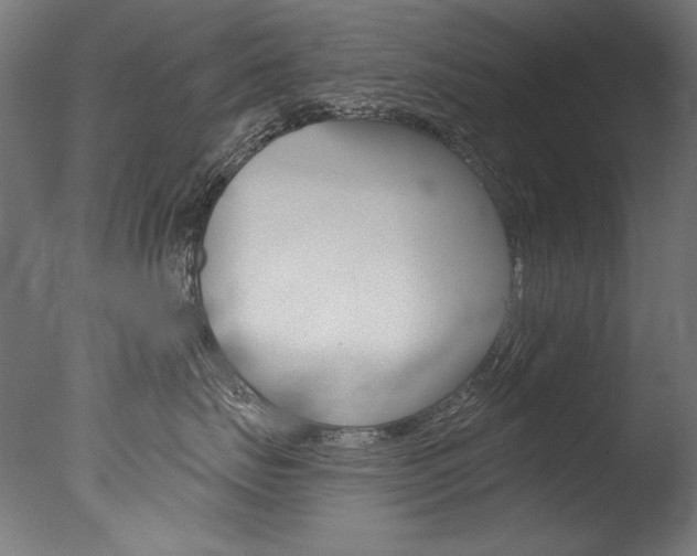 X0000077310671200610200843