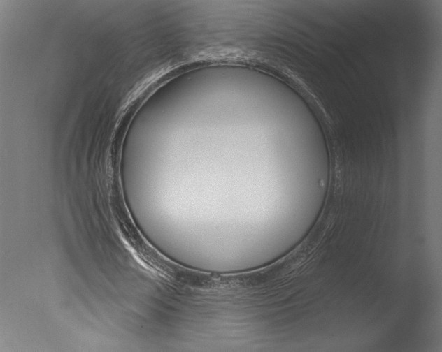 X0000077310674200610200842