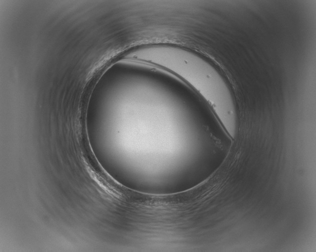 X0000077310677200610200842